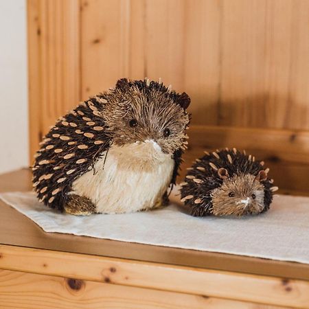 Hotel Arnika ポッツァ・ディ・ファッサ エクステリア 写真